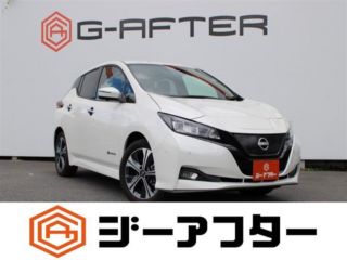 2021 NISSAN LEAF e+ G