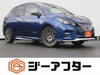 2021 NISSAN LEAF e+ Autech
