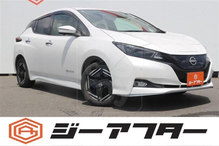 2022 NISSAN LEAF XV Selection