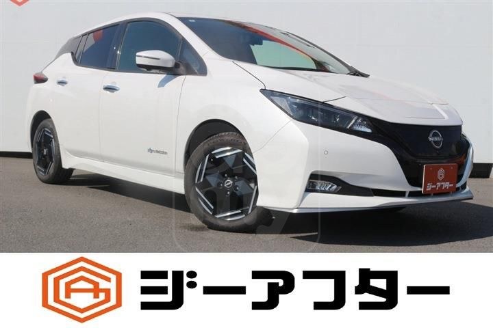 2022 NISSAN LEAF e+X