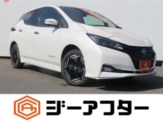 2022 NISSAN LEAF e+X