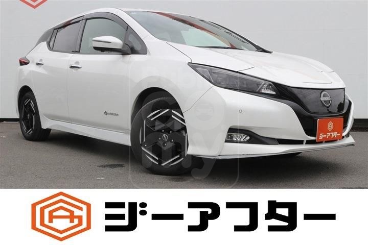 2022 NISSAN LEAF e+X