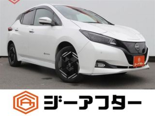 2022 NISSAN LEAF e+X