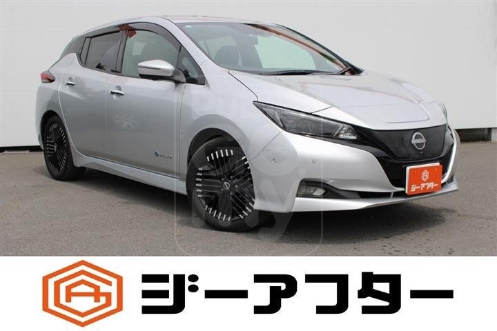 2023 NISSAN LEAF G