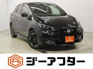 2022 NISSAN LEAF X