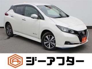 2022 NISSAN LEAF e+ X