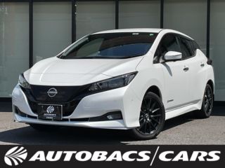 2022 NISSAN LEAF e+ G 5-door AT 2WD 5-seater