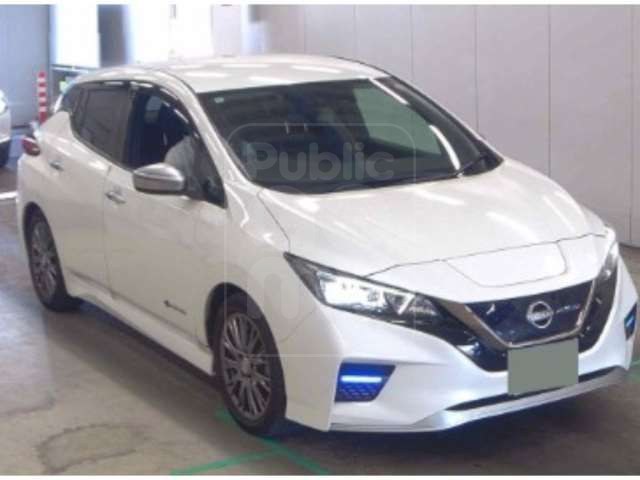 2022 NISSAN LEAF Autech