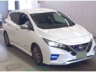2022 NISSAN LEAF Autech