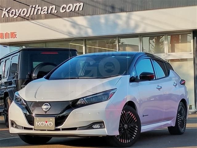 2022 NISSAN LEAF XV Selection