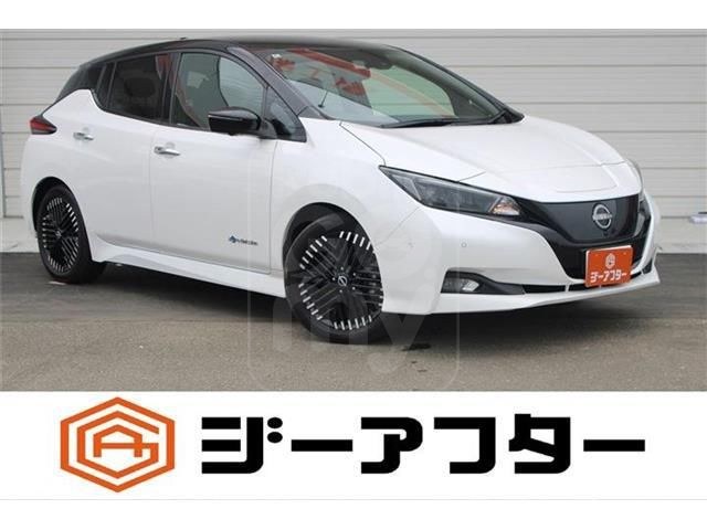 2022 NISSAN LEAF G