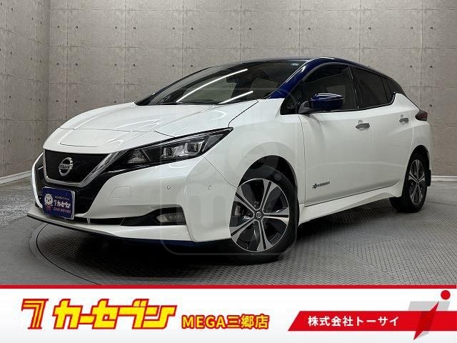 2021 NISSAN LEAF e+ G