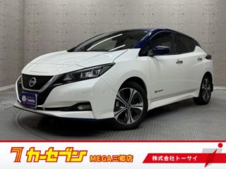 2021 NISSAN LEAF e+ G