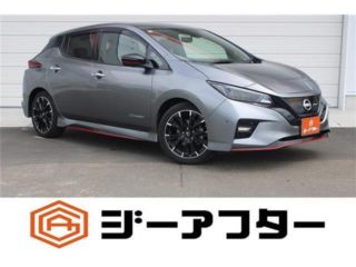 2022 NISSAN LEAF Nismo