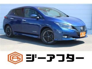 2022 NISSAN LEAF G