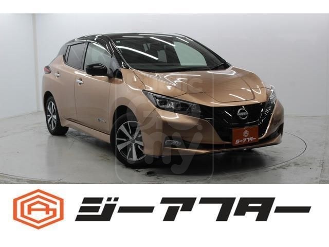 2021 NISSAN LEAF e + X