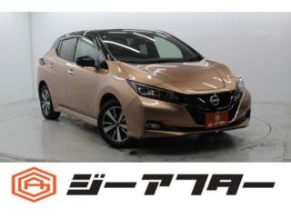 2021 NISSAN LEAF e + X