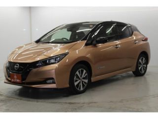 2021 NISSAN LEAF e + X photo 2