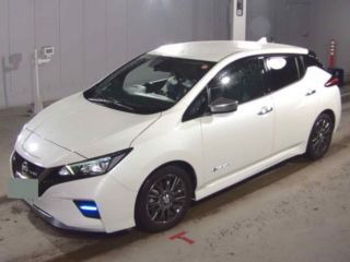 2022 NISSAN LEAF Autech