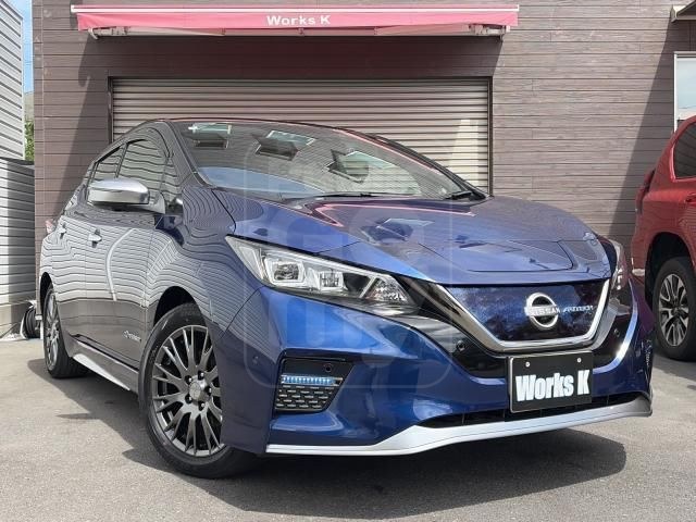 2022 NISSAN LEAF Autech