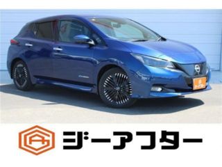 2022 NISSAN LEAF G
