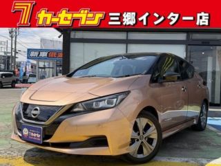2021 NISSAN LEAF Urban Chrome