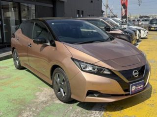 2021 NISSAN LEAF Urban Chrome photo 3
