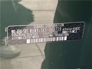 2024 SUBARU FORESTER sports photo 2