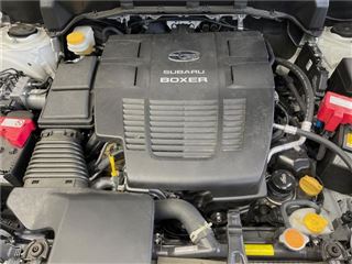 2025 SUBARU FORESTER Urban Selection photo 5