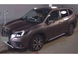 2025 SUBARU FORESTER Urban Selection photo 3