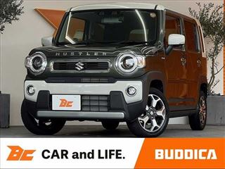 2024 SUZUKI HUSTLER Hybrid X Turbo ★ Mid-term ★ Cruise Control ★ Parking Sensor ★ Safety S